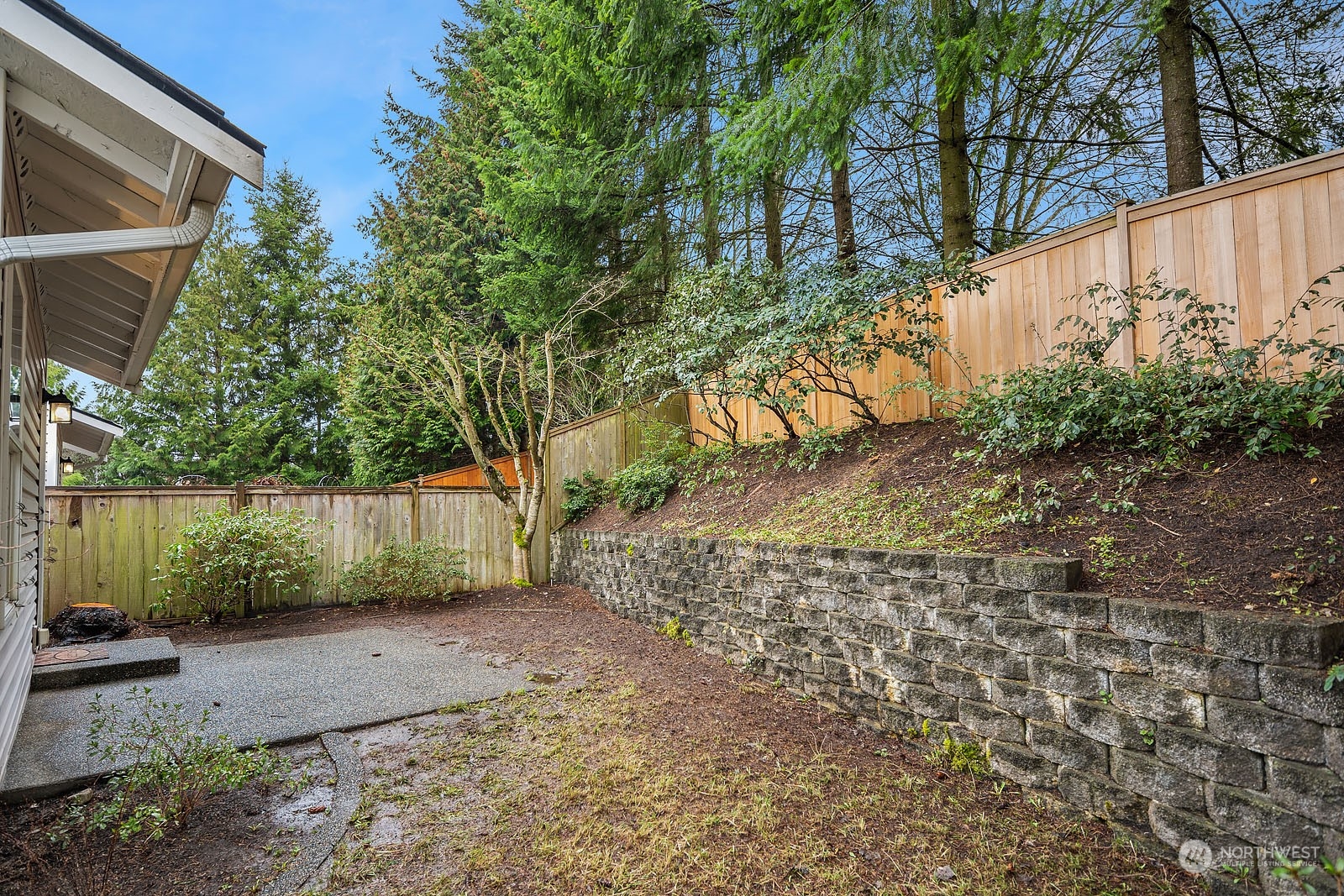 4801 Northeast 18th Place, Unit B Renton, WA 98059 - Photo 27 of 36 a view of backyard and tree