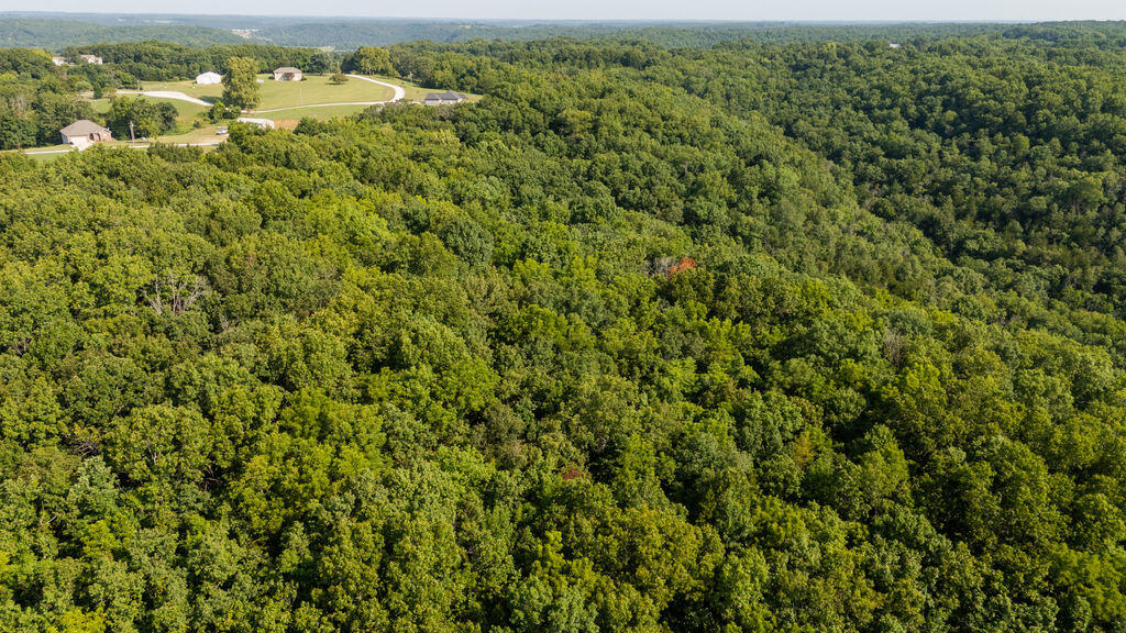 0 Misty Springs Road Galena, MO 65656 - Photo 38 of 52 Stone14drone(MLSRES)-16