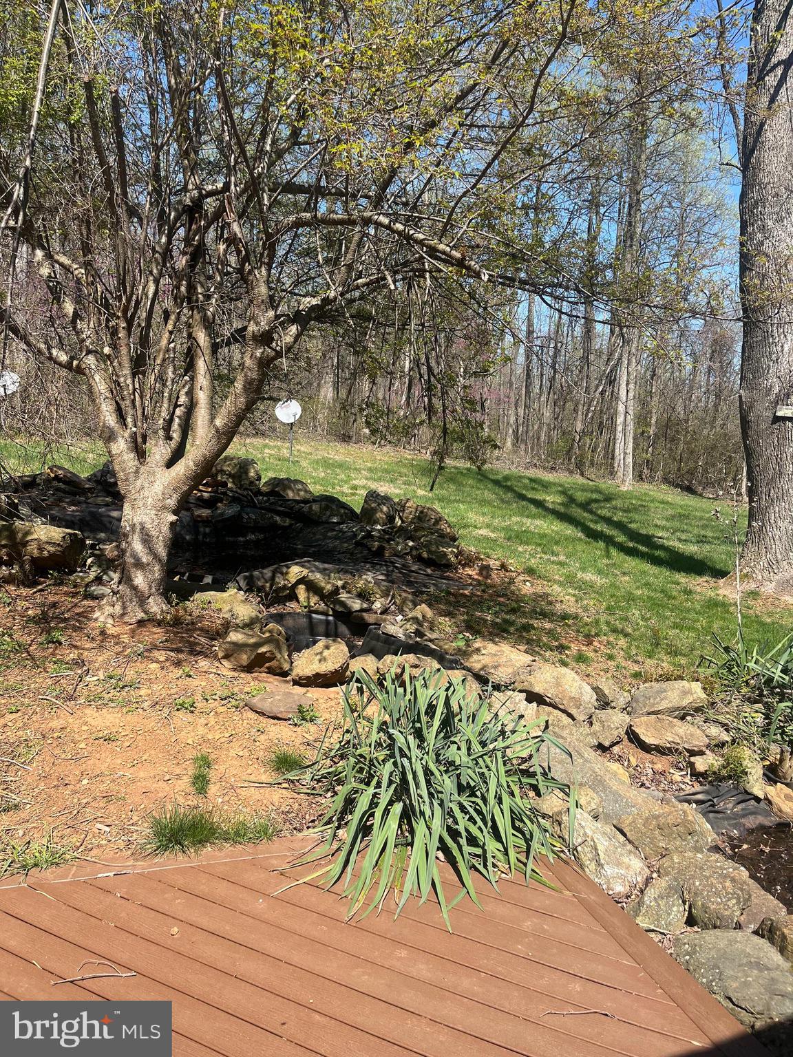 12083 Fawn Ridge Road Linden, VA 22642 - Photo 14 of 31 Gallery Image 14