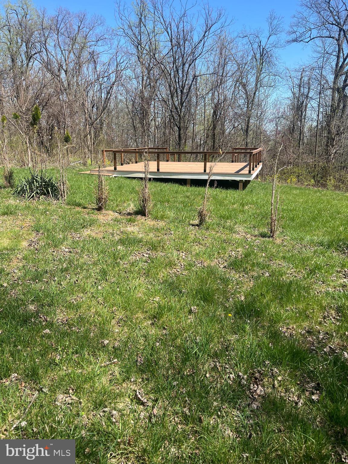 12083 Fawn Ridge Road Linden, VA 22642 - Photo 3 of 31 Gallery Image 3