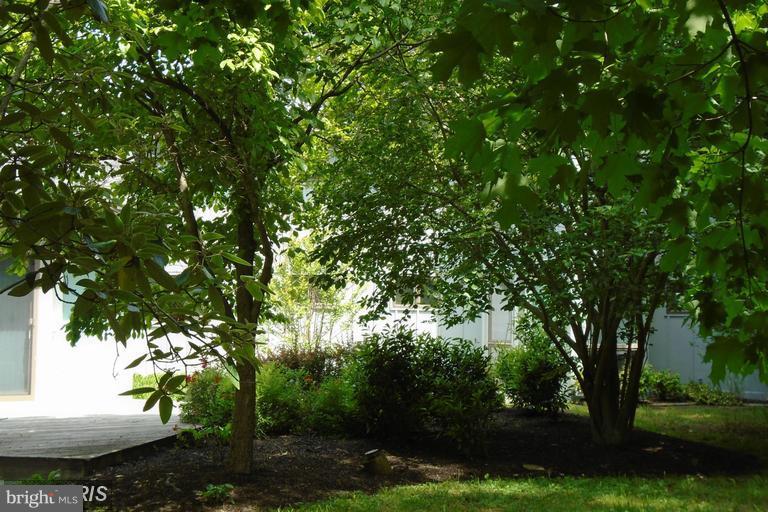 436 Pear Tree Point Road Chestertown, MD 21620 - Photo 1 of 17 Exterior (General)