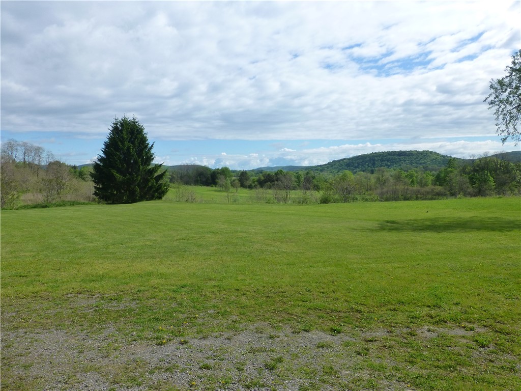 12 Commons Drive Hartwick, NY 13326 - Photo 5 of 18
