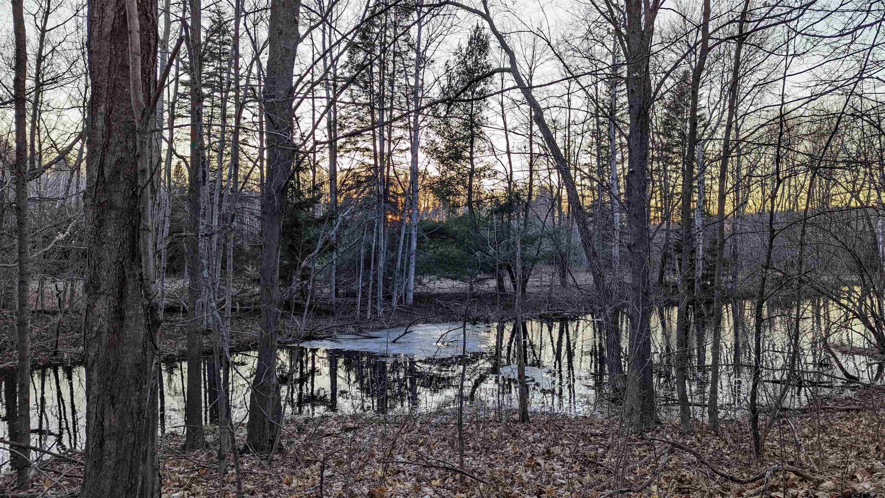 3920 East 14 Road Manton, MI 49663 - Photo 64 of 65
