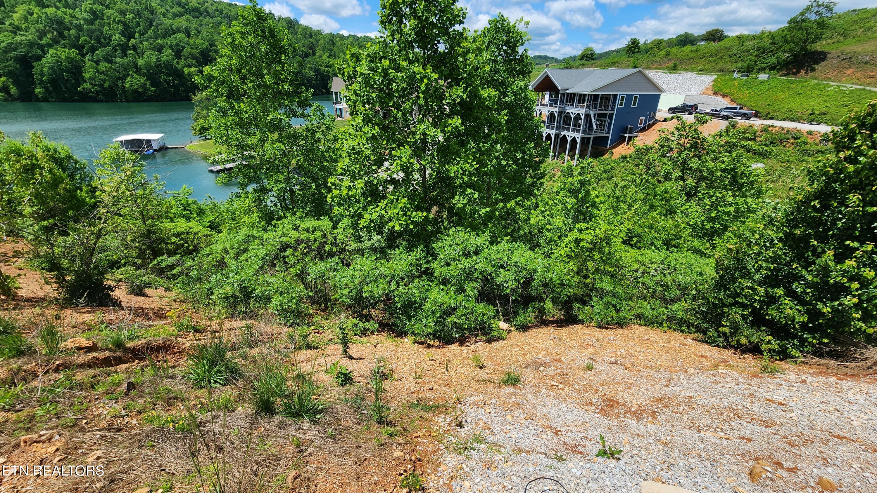 19 Cameron Loop Lane La Follette, TN 37766 - Photo 3 of 11 20250506_130253