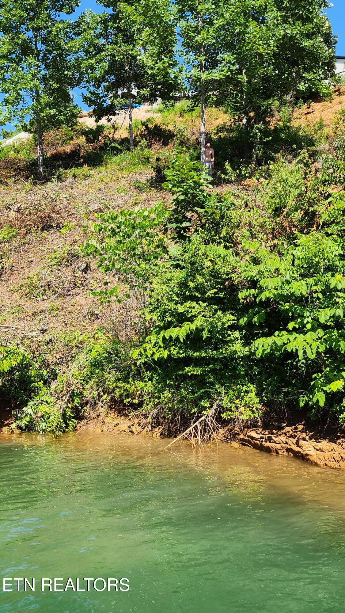 19 Cameron Loop Lane La Follette, TN 37766 - Photo 4 of 11 20250723_155835