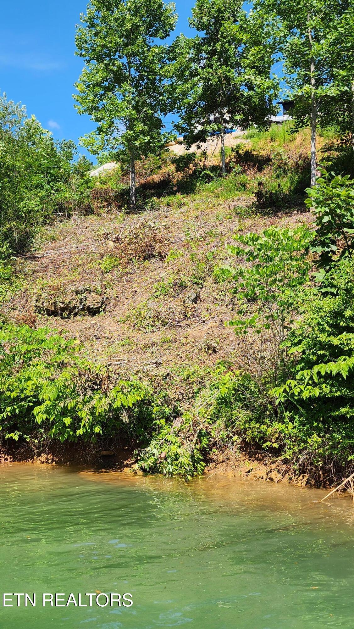 19 Cameron Loop Lane La Follette, TN 37766 - Photo 5 of 11 20250723_155837