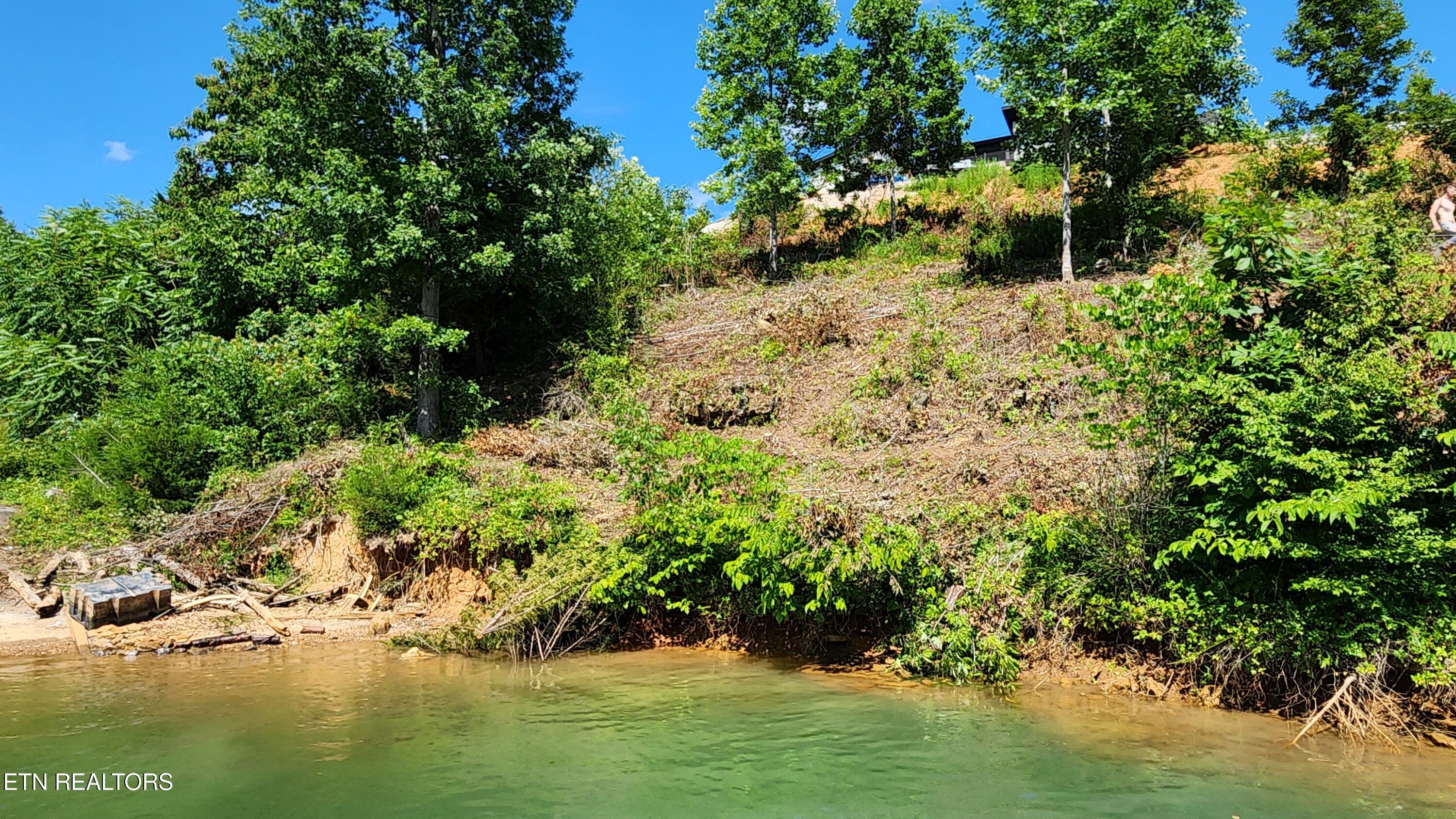 19 Cameron Loop Lane La Follette, TN 37766 - Photo 7 of 11 20250723_155855