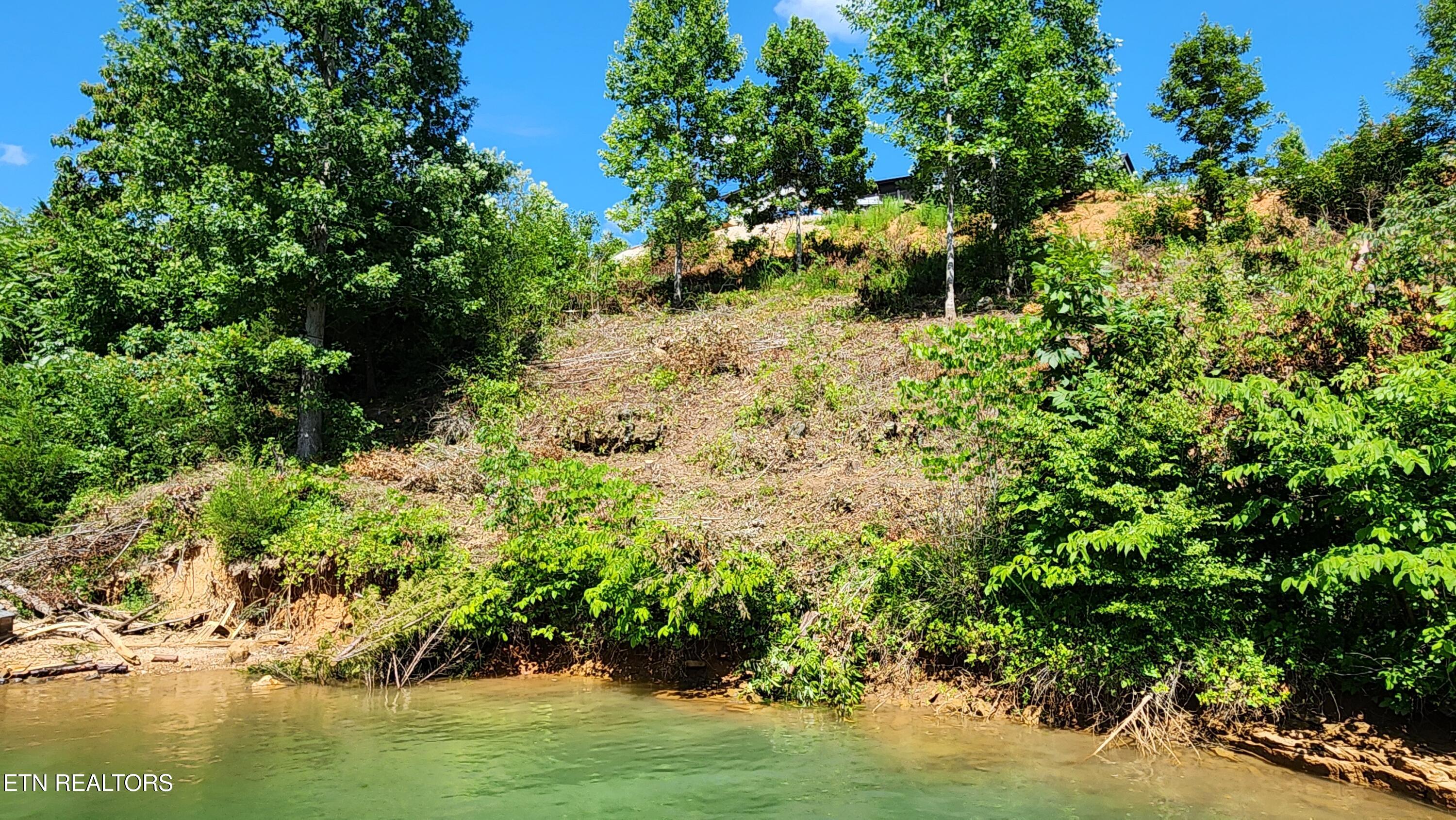 19 Cameron Loop Lane La Follette, TN 37766 - Photo 8 of 11 20250723_155857