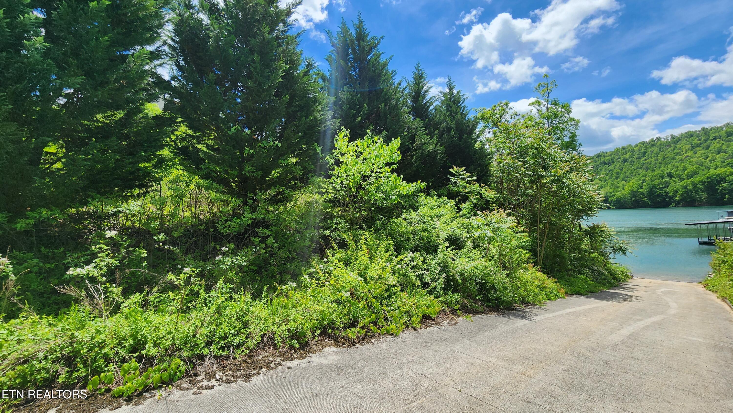 19 Cameron Loop Lane La Follette, TN 37766 - Photo 10 of 11 20250506_125645