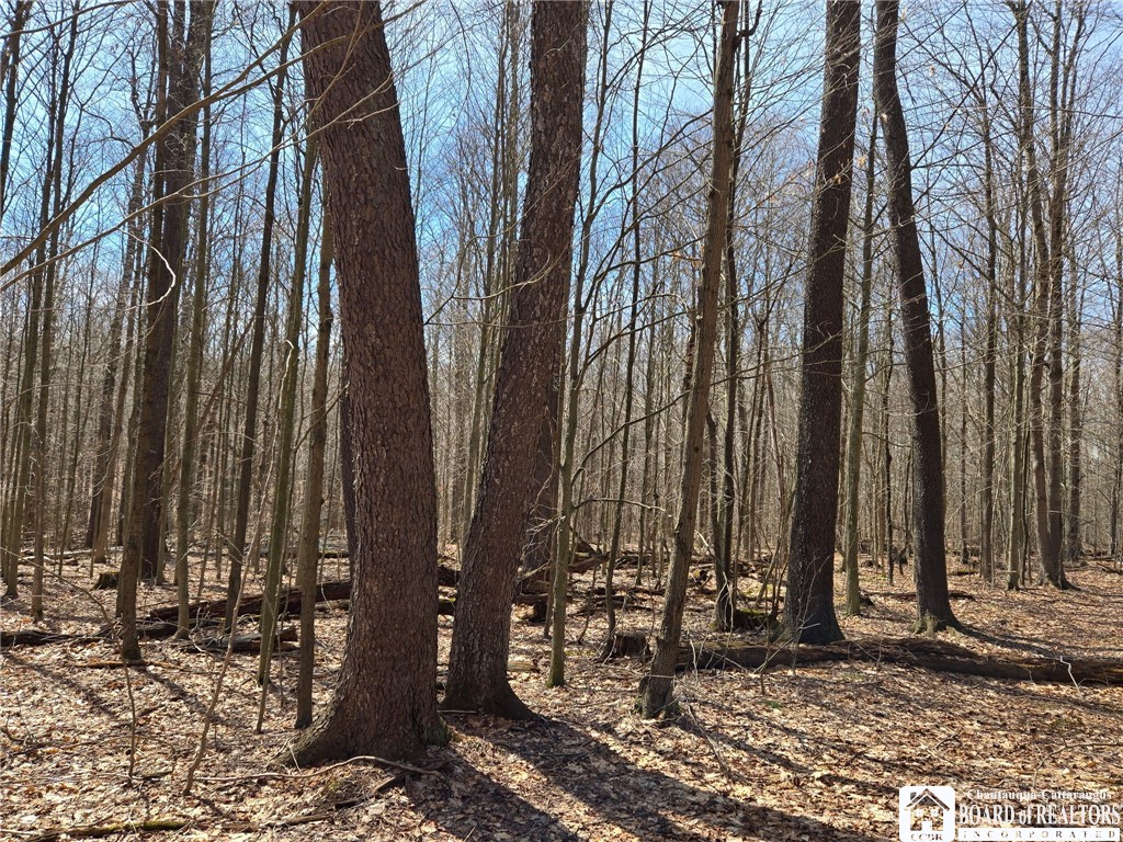 0 West Cobb Road Falconer, NY 14733 - Photo 18 of 49 Gallery Image 18