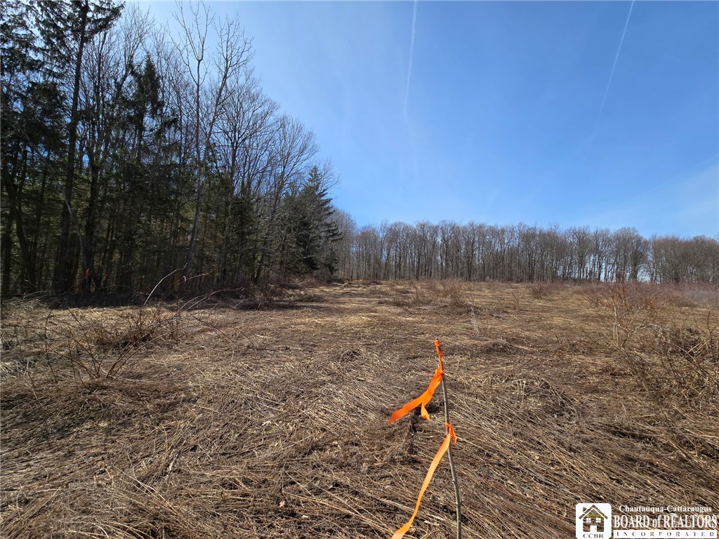 0 West Cobb Road Falconer, NY 14733 - Photo 33 of 49 Gallery Image 33