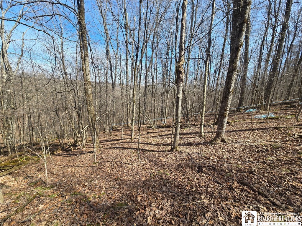 0 West Cobb Road Falconer, NY 14733 - Photo 6 of 49 Gallery Image 6