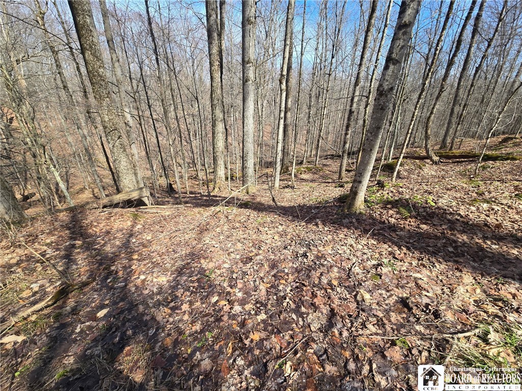 0 West Cobb Road Falconer, NY 14733 - Photo 8 of 49 Gallery Image 8