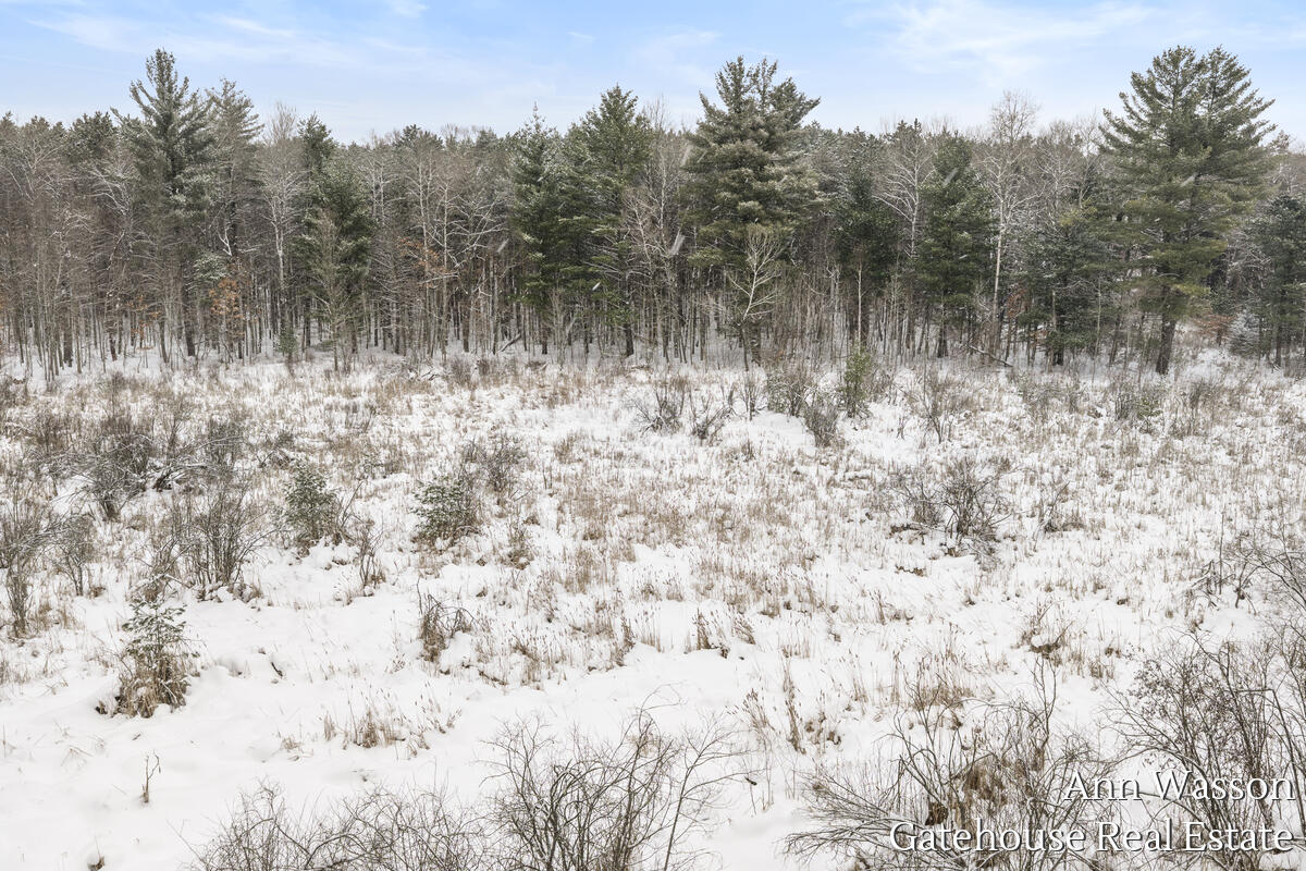 8 8 Mile Road Stanwood, MI 49346 - Photo 2 of 6 1000021117