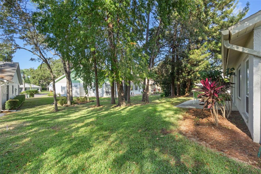 6147 Turnburry Court Spring Hill, FL 34606 - Photo 28 of 31 a view of a tree in front of a house