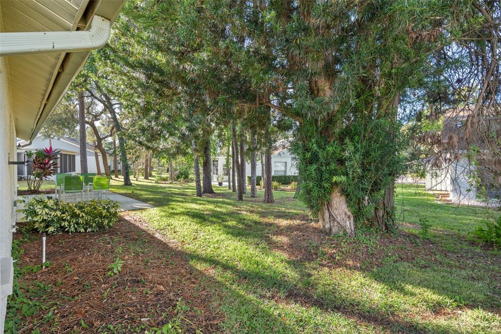 6147 Turnburry Court Spring Hill, FL 34606 - Photo 31 of 31 a view of a yard with tree s