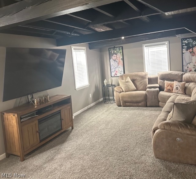 4652 South Turner Road Canfield, OH 44406 - Photo 27 of 28 Carpeted living room featuring plenty of natural light