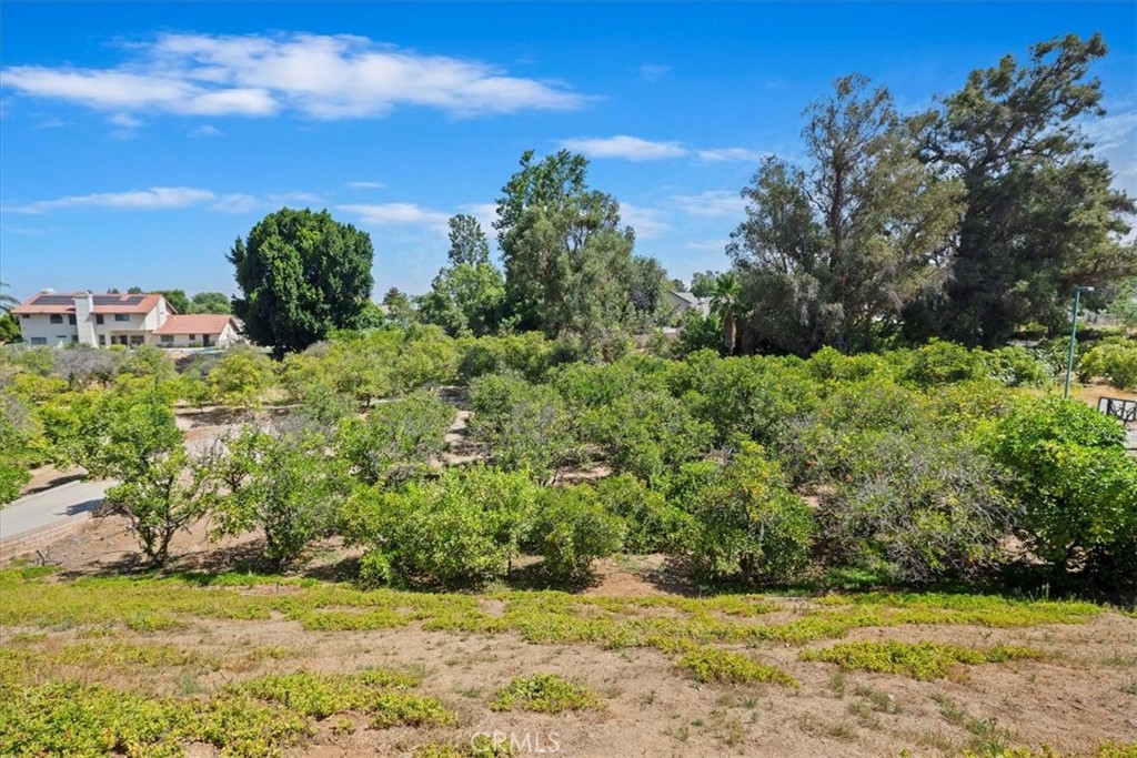 1507 Weston Way Riverside, CA 92506 - Photo 53 of 55