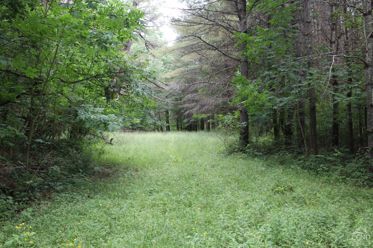 257 Parliman Road Gilboa, NY 12076 - Photo 45 of 63 Photo 45