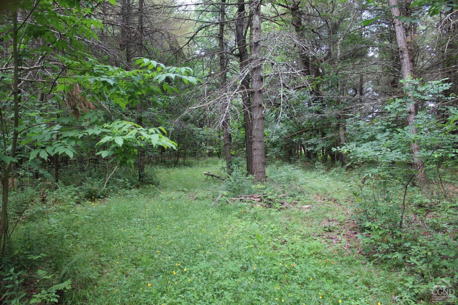 257 Parliman Road Gilboa, NY 12076 - Photo 50 of 63 Photo 50