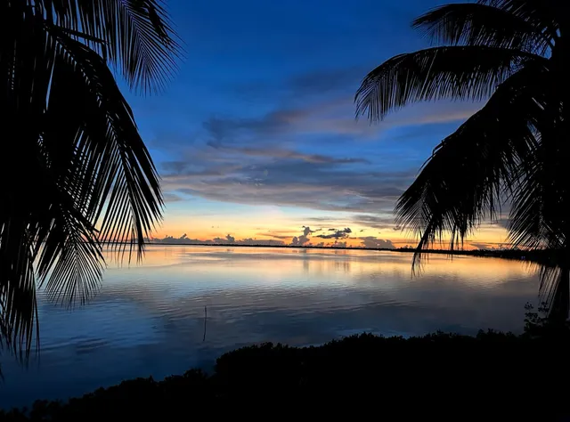 a view of beach and ocean