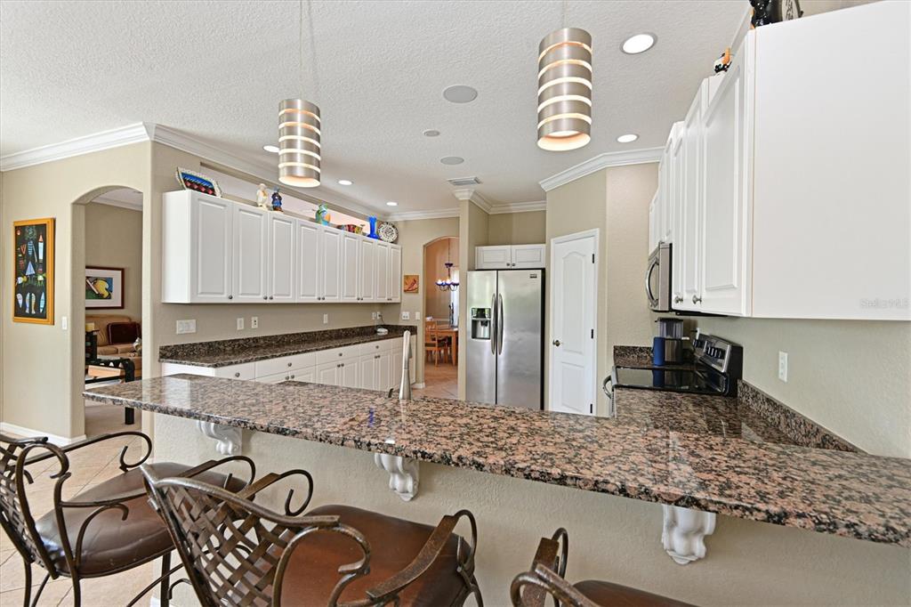 4412 Wolf Ridge Crossing Parrish, FL 34219 - Photo 10 of 34 Gallery Image 10