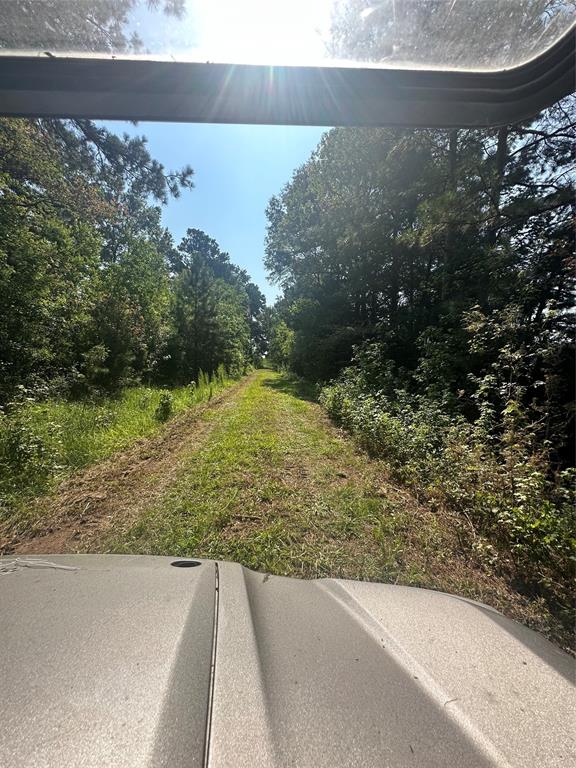 8 Cr 2315 Dayton Tx 77371  