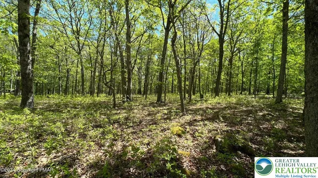 a view of outdoor space and garden