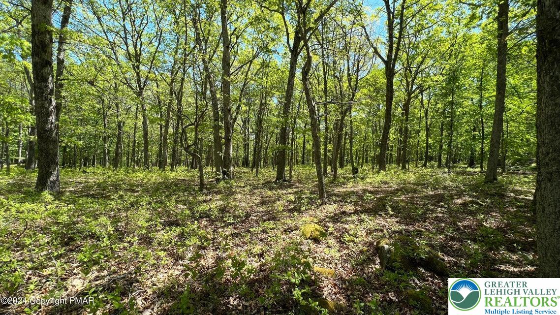 a view of outdoor space and garden