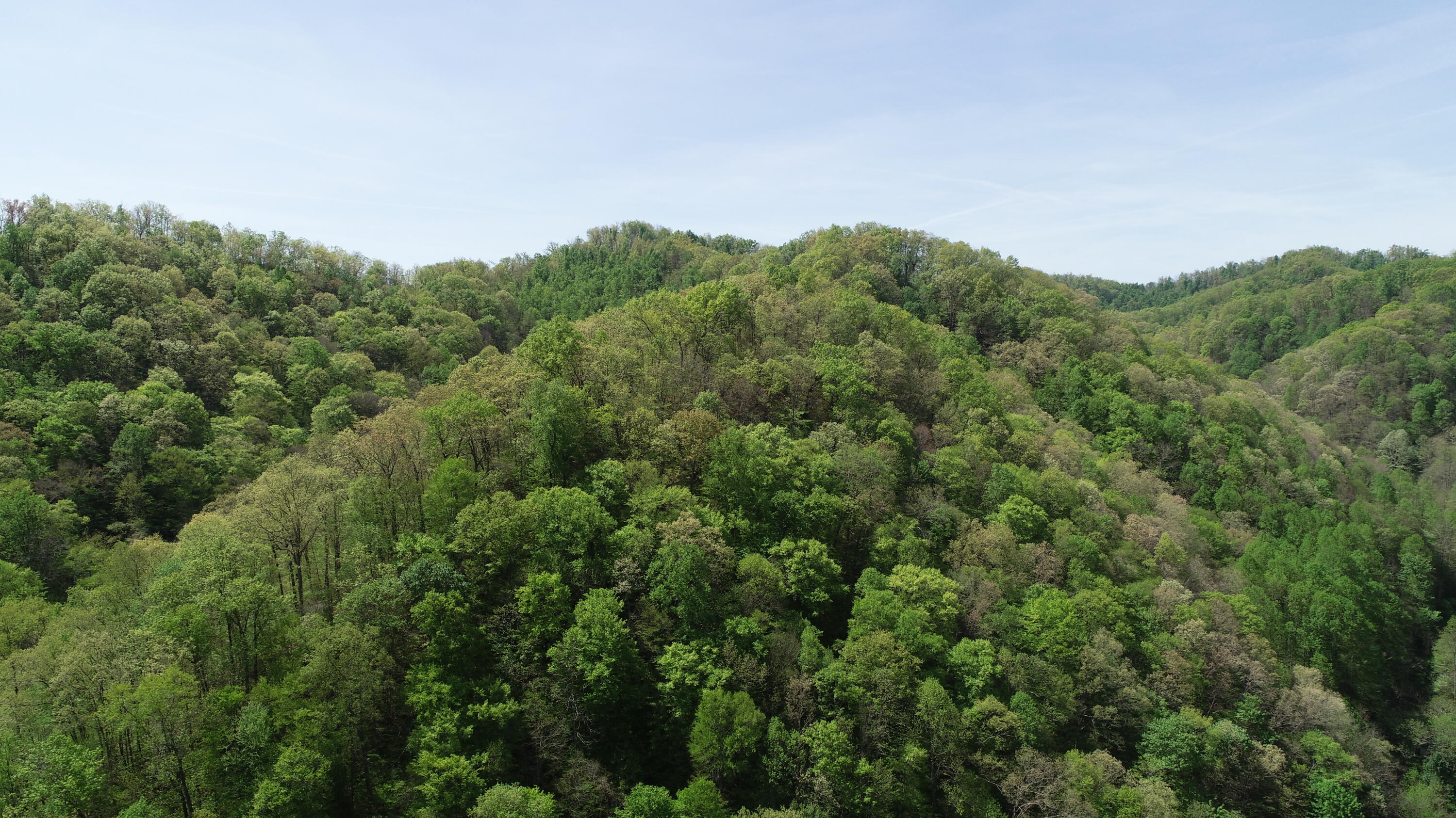 290 Rock House Branch Road Manchester, KY 40962 - Photo 14 of 24 DJI_0614