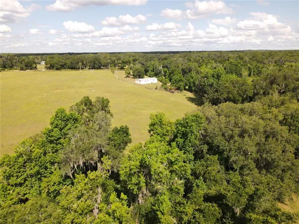 $3,490,000 | 11816 County Road 234, Micanopy, FL 32667
