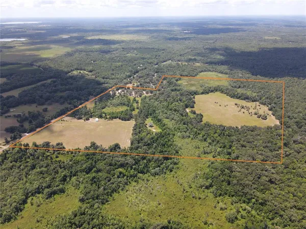 $3,490,000 | 11816 County Road 234, Micanopy, FL 32667