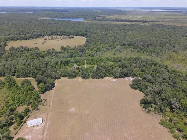 $3,490,000 | 11816 County Road 234, Micanopy, FL 32667