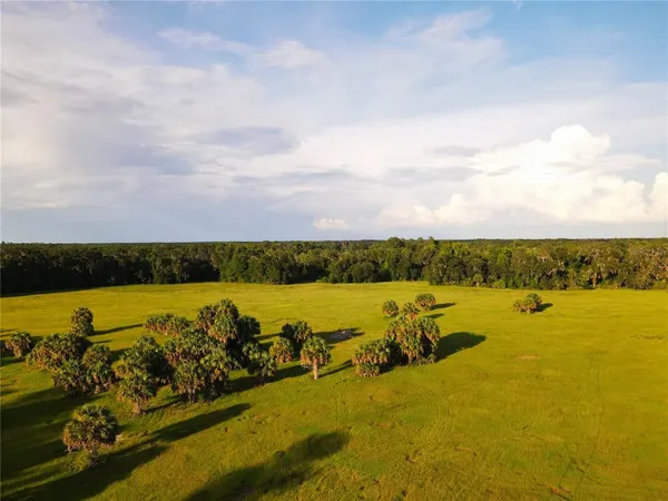 $3,490,000 | 11816 County Road 234, Micanopy, FL 32667