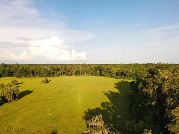 $3,490,000 | 11816 County Road 234, Micanopy, FL 32667