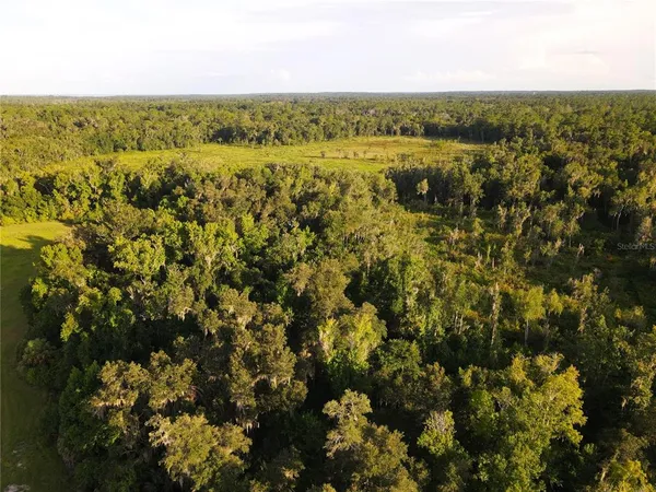 $3,490,000 | 11816 County Road 234, Micanopy, FL 32667