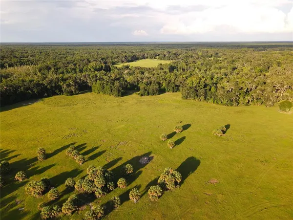$3,490,000 | 11816 County Road 234, Micanopy, FL 32667