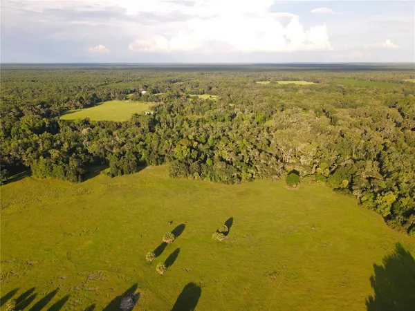 $3,490,000 | 11816 County Road 234, Micanopy, FL 32667