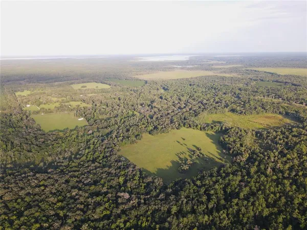 $3,490,000 | 11816 County Road 234, Micanopy, FL 32667