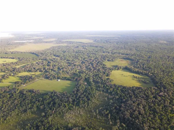 $3,490,000 | 11816 County Road 234, Micanopy, FL 32667