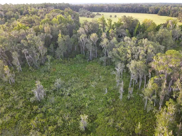 $3,490,000 | 11816 County Road 234, Micanopy, FL 32667