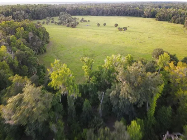$3,490,000 | 11816 County Road 234, Micanopy, FL 32667