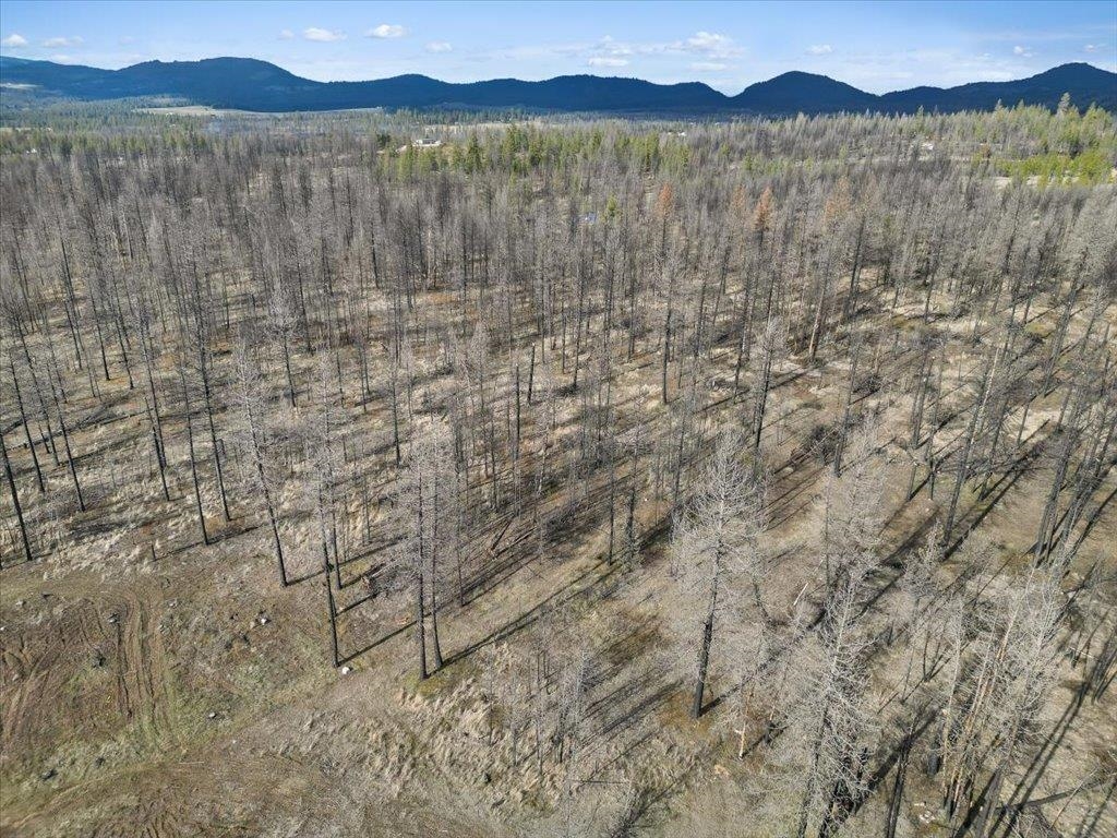 15015 East Eistrup Road Elk, WA 99009 - Photo 3 of 14