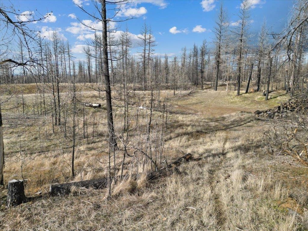 15015 East Eistrup Road Elk, WA 99009 - Photo 7 of 14