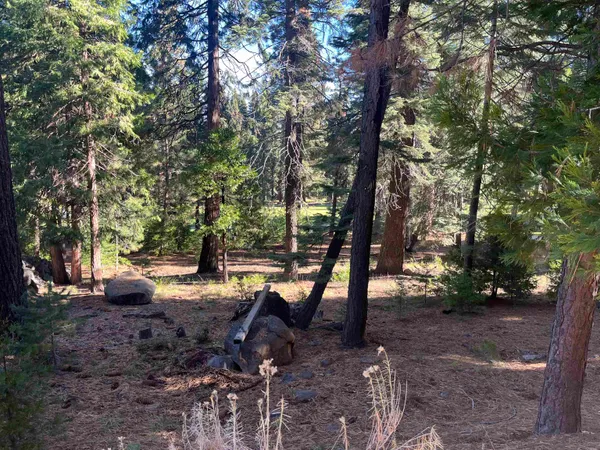a view of backyard with green space