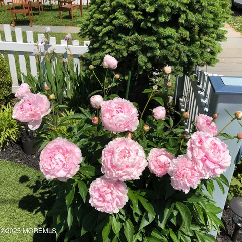 $1,349,900 | 9 Embury Avenue, Ocean Grove, NJ 07756