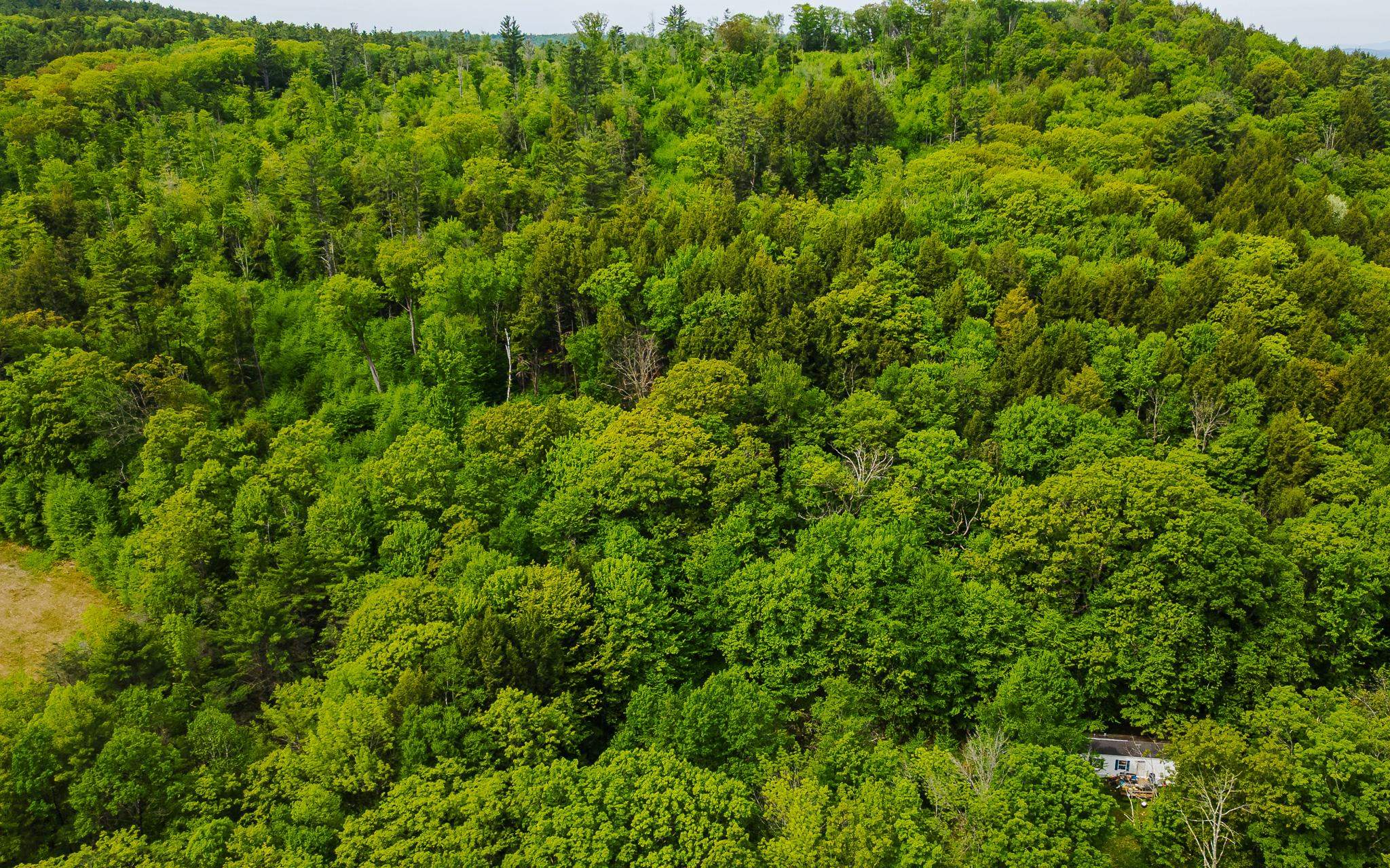 Lot 67 Camp Brook Road Alstead, NH 03602 - Photo 5 of 9