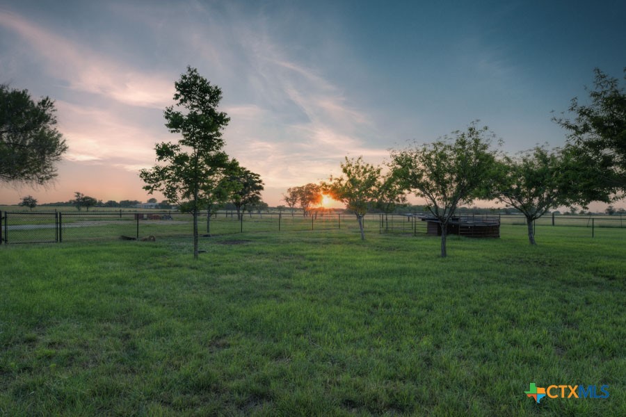 2420 Bolton Road Marion, TX 78124 - Photo 24 of 30 a backyard of a house with lots of green space