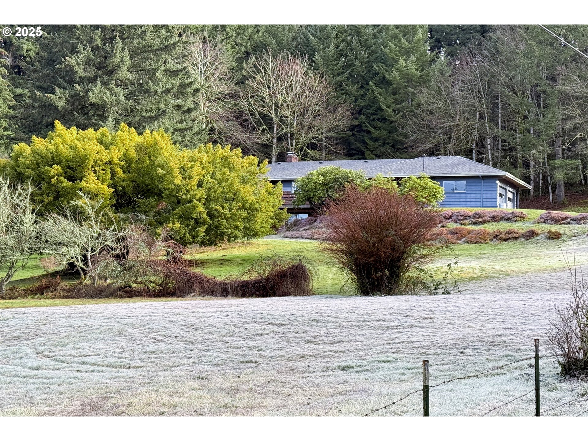 19955 Southeast Tillstrom Road Damascus, OR 97089 - Photo 6 of 47