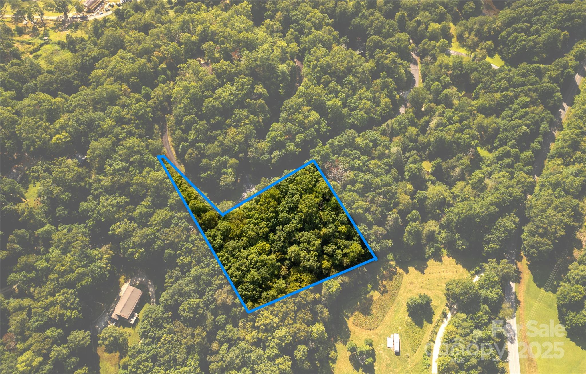 Lot 8 Sweetwater Rdg Road, Unit 8 Balsam Grove, NC 28708 - Photo 7 of 8 a picture of tree